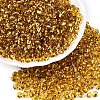 6/0 Baking Paint Transparent Glass Seed Beads X1-SEED-N006-06C-1
