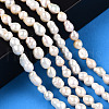 Natural Baroque Pearl Keshi Pearl Beads Strands PEAR-S020-F01-01-2