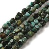 Natural African Turquoise(Jasper) Beads Strands G-D081-A05-1