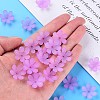 Transparent Acrylic Beads X1-MACR-S373-107-D03-6