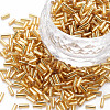 Plated Glass Bugle Beads SEED-S046-01A-22B-1