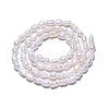 Natural Cultured Freshwater Pearl Beads Strands X-PEAR-N014-04E-3