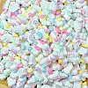 Cartoon Opaque Resin Cabochons RESI-C039-04B-2