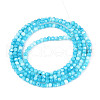 Dyed Natural Trochid Shell/Trochus Shell Beads Strands SSHEL-T017-13B-2