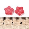 Transparent Glass Beads DGLA-E004-12G-3