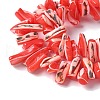 Dyed Natural Trochus Shell Beads Strands SSHEL-C013-09D-3