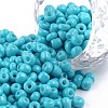 Baking Paint Glass Seed Beads SEED-S003-K10-1