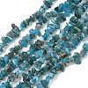 Natural Apatite Beads Strands G-G0003-B08-01-1
