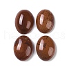 Natural Red Jasper Cabochons G-B080-01A-06-1