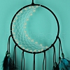 Woven Net/Web with Feather Hanging Ornaments PW-WG6C51F-01-3