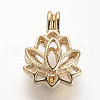 Alloy Diffuser Locket Pendants PALLOY-S062-40G-1