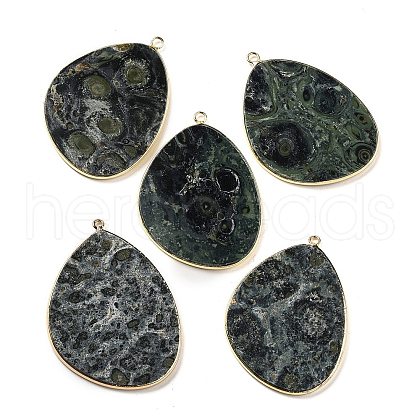 Natural Kambaba Jasper Pendants G-K347-02G-01-1