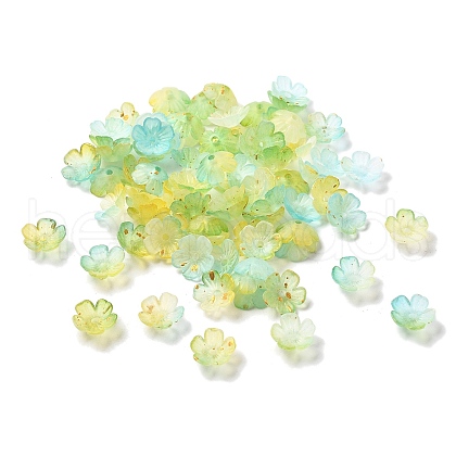 Acrylic Bead Caps OACR-Z028-03G-1