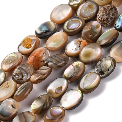 Natural Paua Shell Beads Strands BSHE-B007-06-1