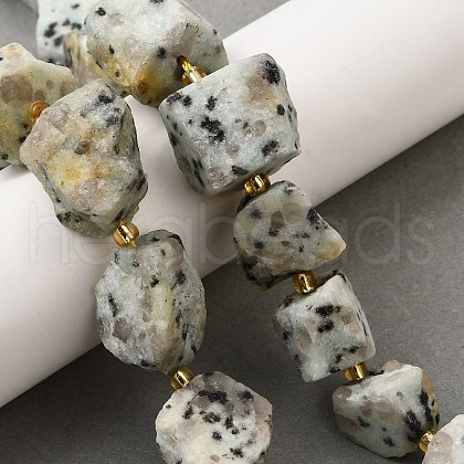 Raw Rough Natural Seaame Jasper Beads Strands G-Z087-B03-1