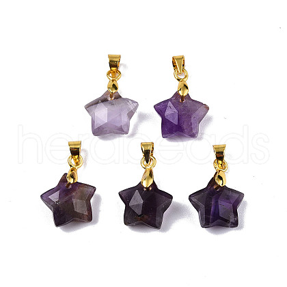 Natural Amethyst Charms X-G-N326-142-03-1