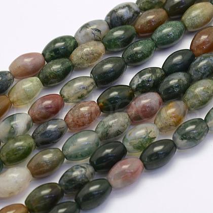 Natural Indian Agate Beads Strands G-G697-G02-8x12mm-1