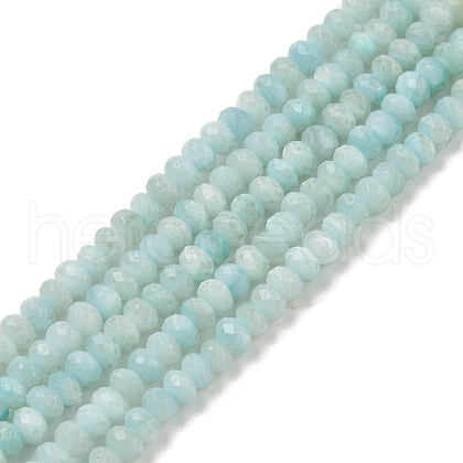 Natural Freshwater Shell Dyed Beads Strands SHEL-R100-13A-02-1