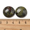 Natural Dragon Blood Cabochons G-C115-02A-11-3