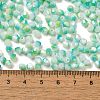 Baking Painted Glass Seed Beads SEED-C004-03D-4