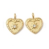304 Stainless Steel Rhinestone Pendants STAS-V015-07C-G-1