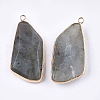 Natural Labradorite Pendants G-T112-20B-2
