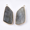 Natural Labradorite Pendants G-T112-20B-2