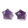Natural Amethyst Charms G-H241-04D-2