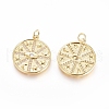 Brass Micro Pave Cubic Zirconia Pendants ZIRC-G166-24G-2