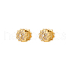 Stainless Steel Hoop Earrings LR0799-3-1