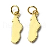 Brass Pendants KK-D030-01G-1