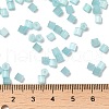 Glass Seed Beads X1-SEED-H002-D-A812-4