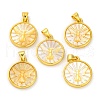Natural Yellow Shell Carved Moth Pendants KK-D537-04G-01-1