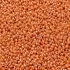 MIYUKI Round Rocailles Beads X-SEED-G008-RR0423-3