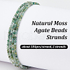 Olycraft 2 Strands Natural Moss Agate Beads Strands G-OC0005-64-4