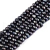 Natural Cultured Freshwater Pearl Beads Strands PEAR-N015-04D-2