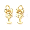 Brass Pendants KK-I355-10G-1