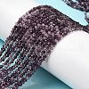 Transparent Glass Beads Strands GLAA-H027-01A-2