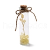 Mini Natural Crystal & Stone Beads Wishing Bottles G-C232-05A-1