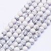 Synthetic Howlite Beads Strands G-E110-4mm-5-1
