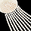  3 Strands Natural Cultured Freshwater Pearl Beads Strands PEAR-NB0002-59-7