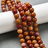 Dyed Natural Malaysia Jade Beads Strands G-G021-02B-23-4