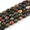 Natural Picasso Jasper/Polychrome Jasper Beads Strands G-N346-02B-05-2