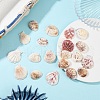 100G 2 Styles Clam Shell Beads SSHEL-YW0001-08-4