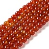 Natural Carnelian Beads Strands G-G390-8mm-03-2