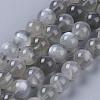 Natural Grey Moonstone Beads Strands G-F632-29-01-1