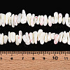 Natural Trochid Shell/Trochus Shell Beads Strands SSHEL-T017-29-4