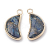 Synthetic Regalite/Imperial Jasper/Sea Sediment Jasper Pendants X-G-T103-31A-2