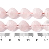 Natural Rose Quartz Beads Strands G-P570-E16-02-5
