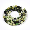 Natural Serpentine Beads Strands G-N346-02A-04-3